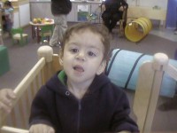 /album/libelula-en-doyle-park-elementary-school-santa-rosa-california-/guapo-jpg/